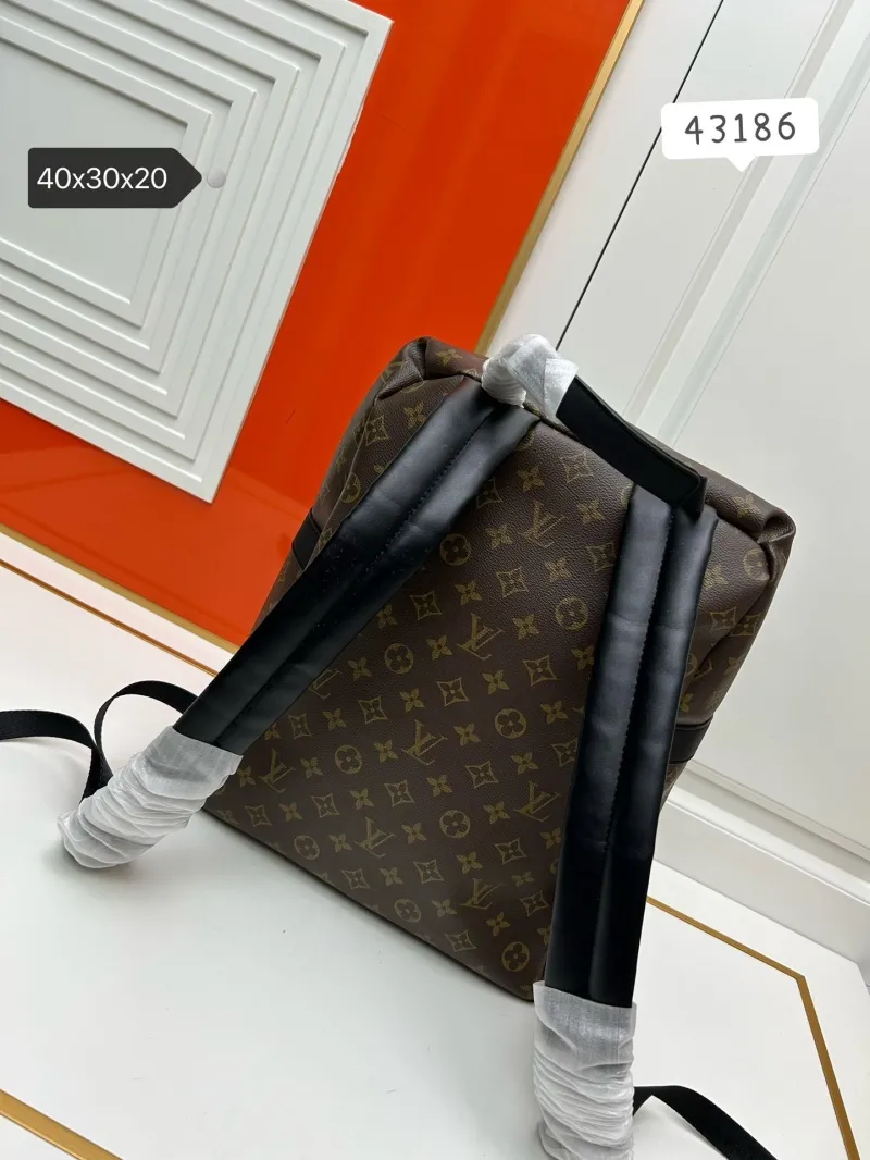 Alternative view of LV Backpacks-6