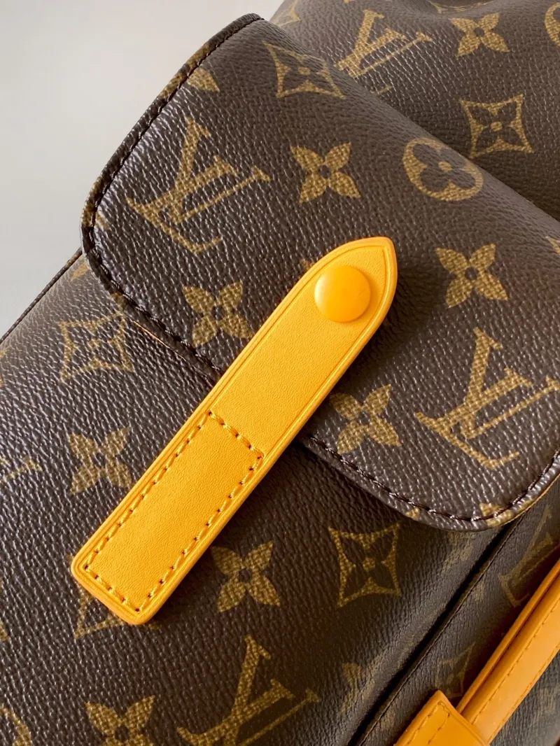 LV Backpacks-84 - Image 6