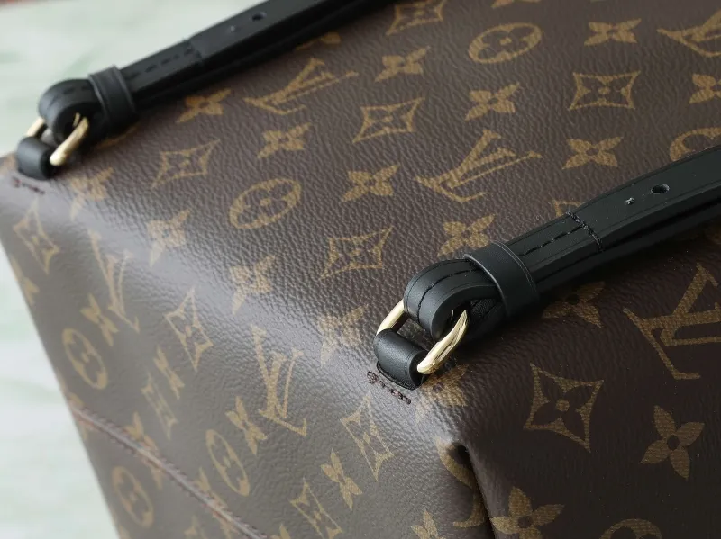 LV Backpacks-92 - Image 9