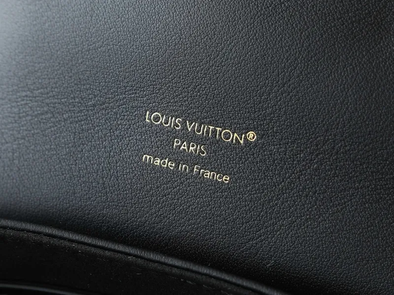 LV Backpacks-96 - Image 13