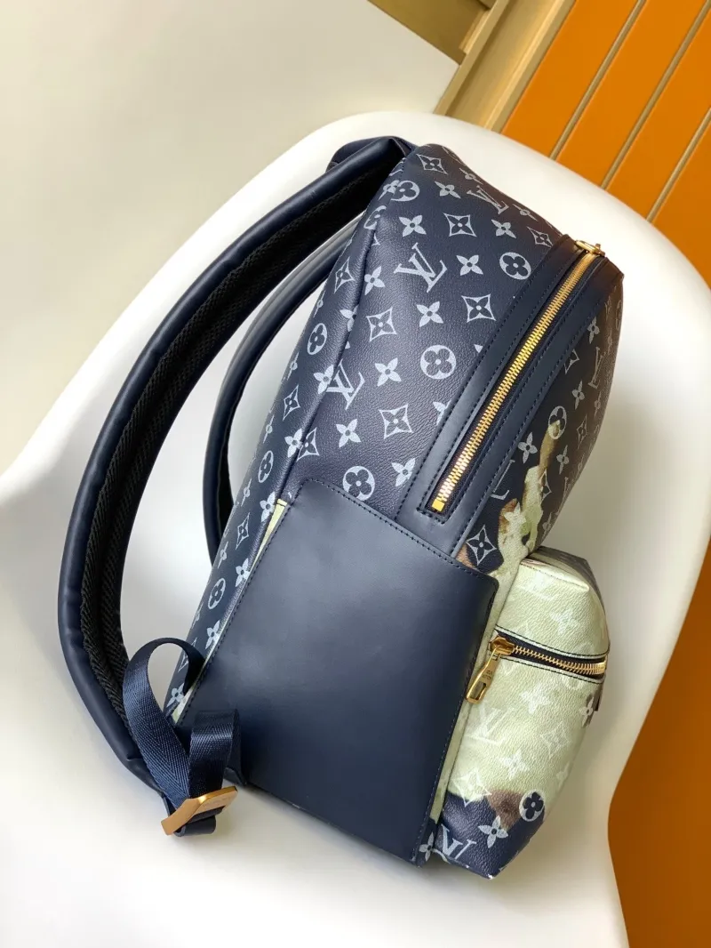 Alternative view of LV Backpacks-101