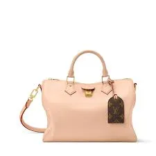 LV Speedy Bags