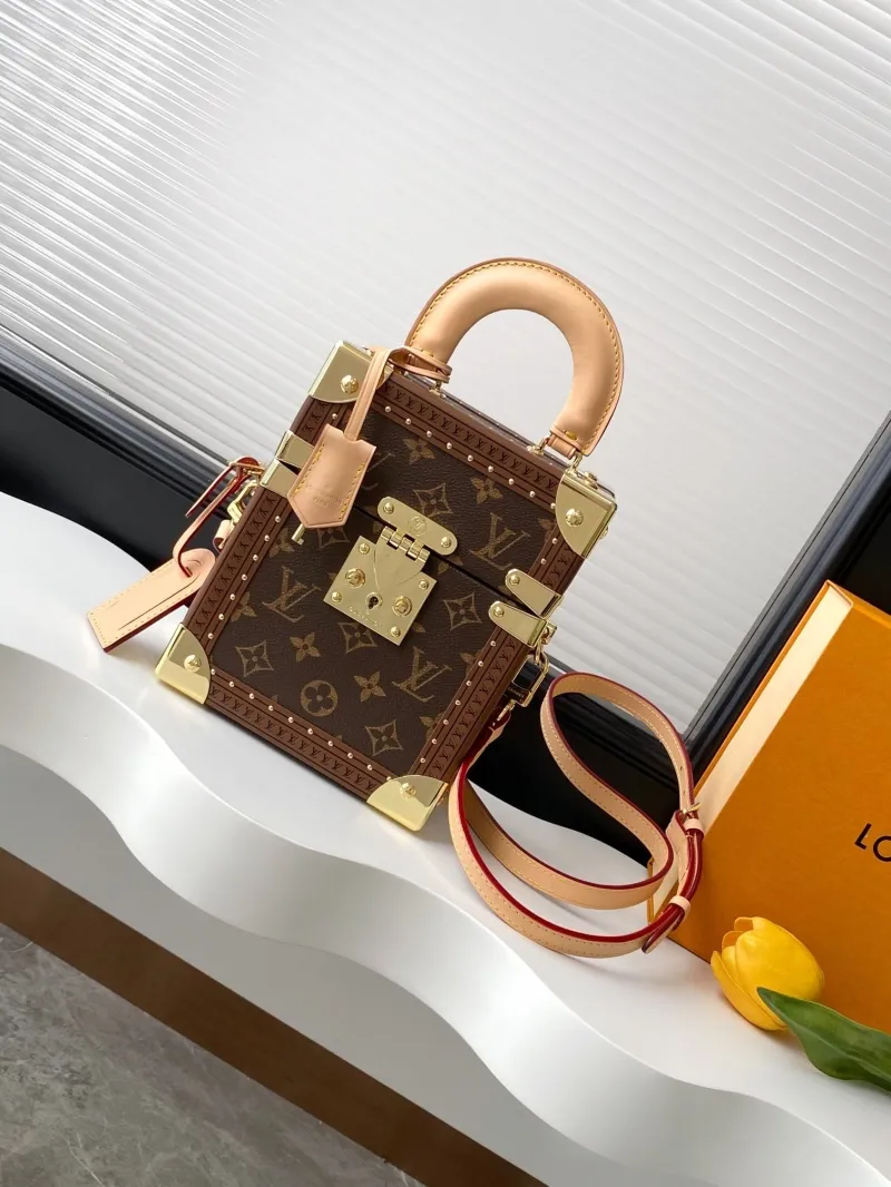 LV Box Bags-54
