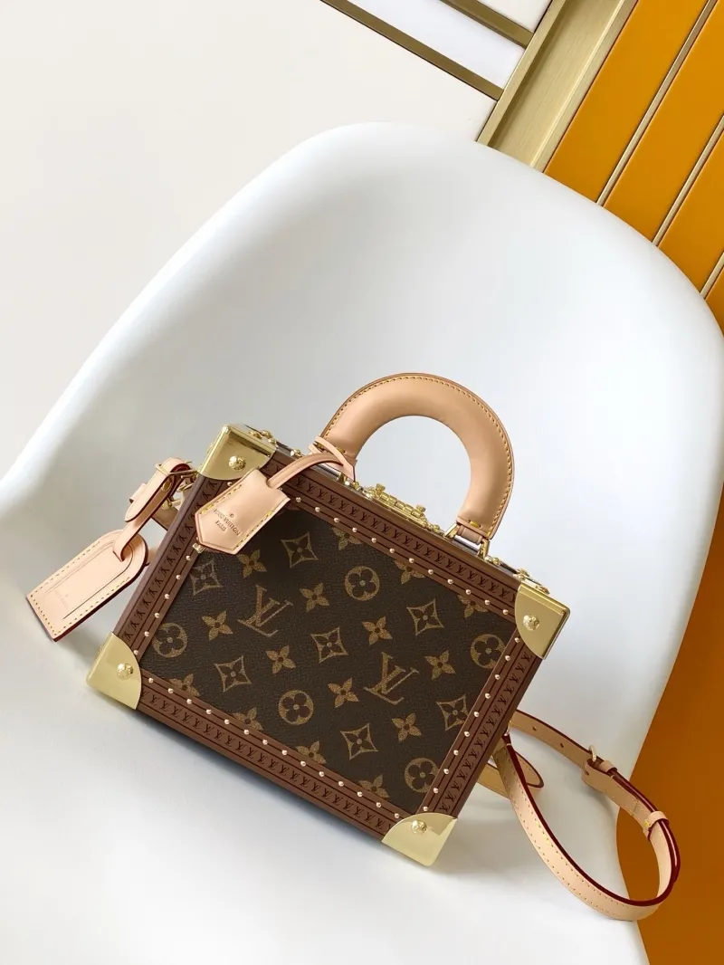 LV Box Bags-227