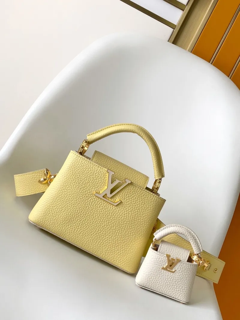 LV Capucines Bags-281