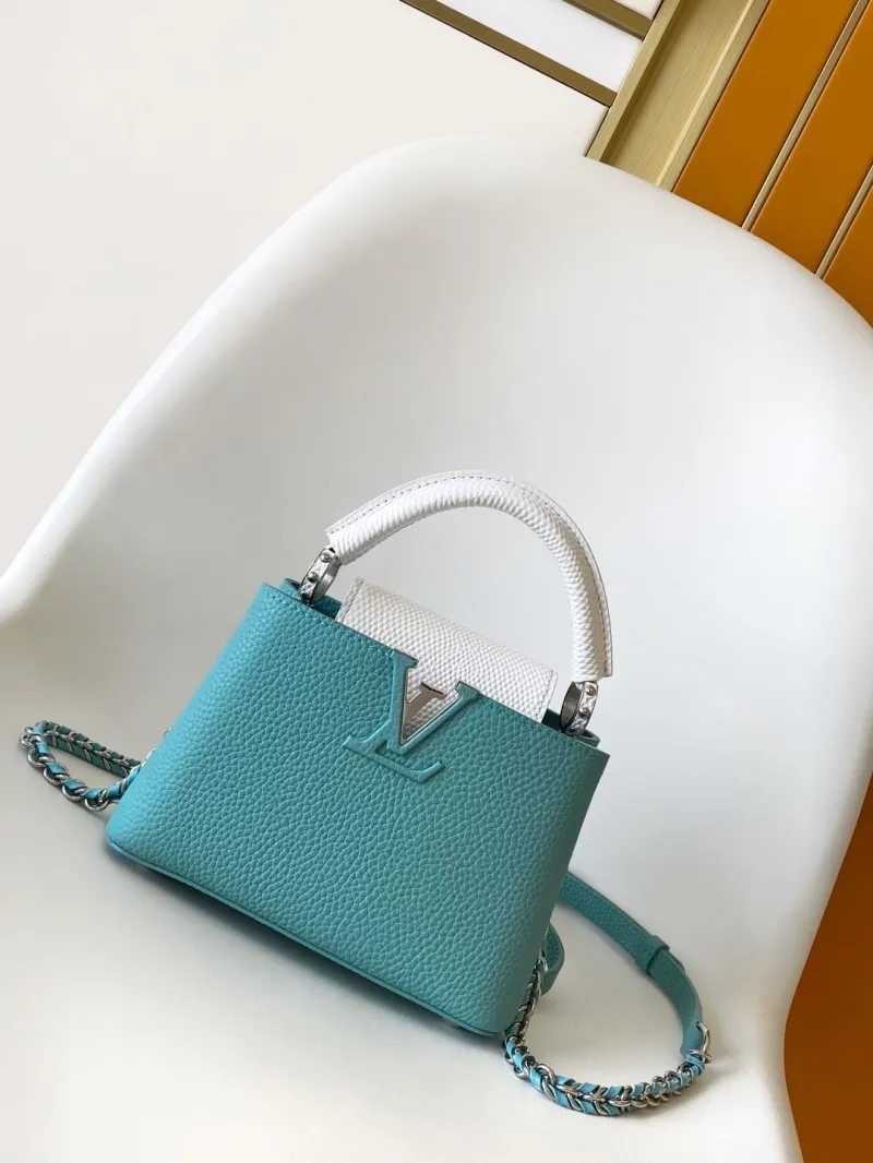 LV Capucines Bags-298