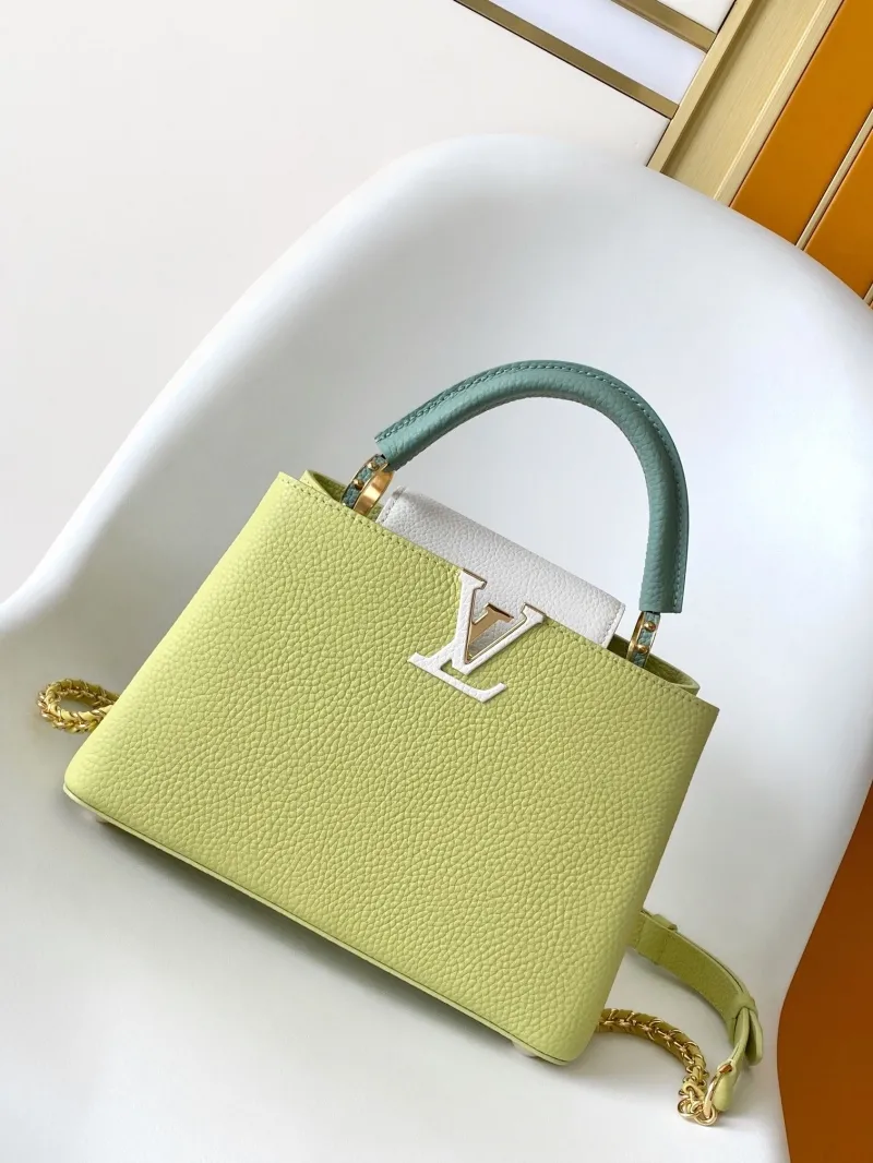 LV Capucines Bags-487