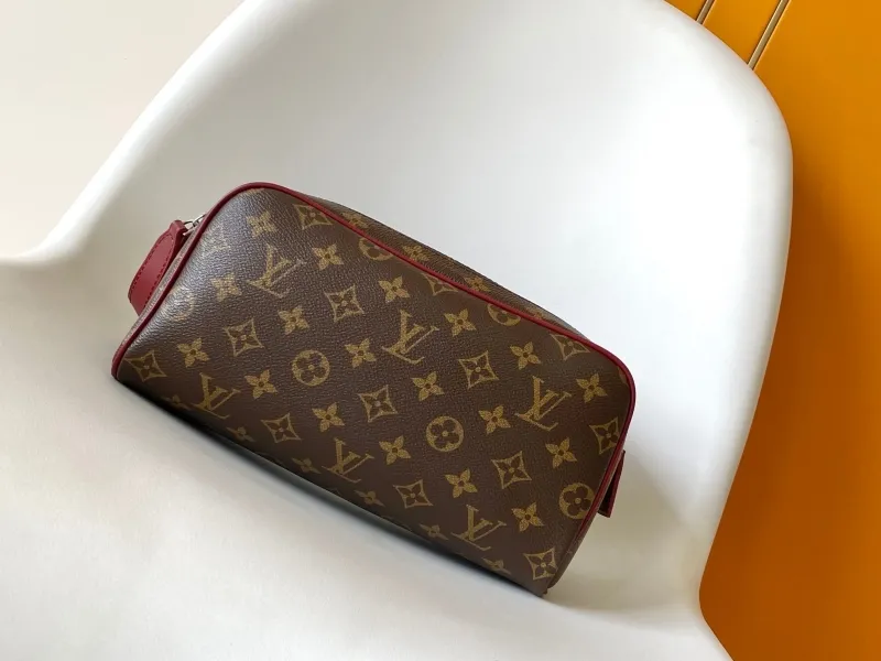 LV Cosmetic Bags-50