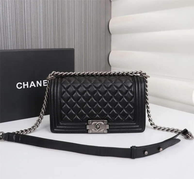 Chanel Leboy Series Bags-1
