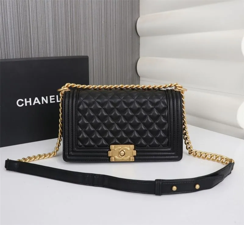 Chanel Leboy Series Bags-2