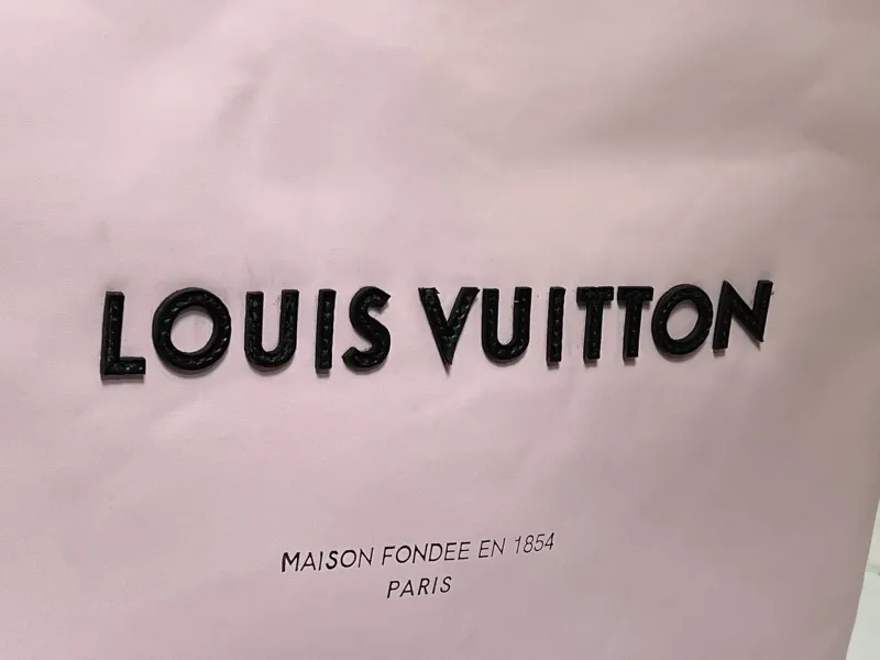 LV Shopping Bags-71 - Image 4