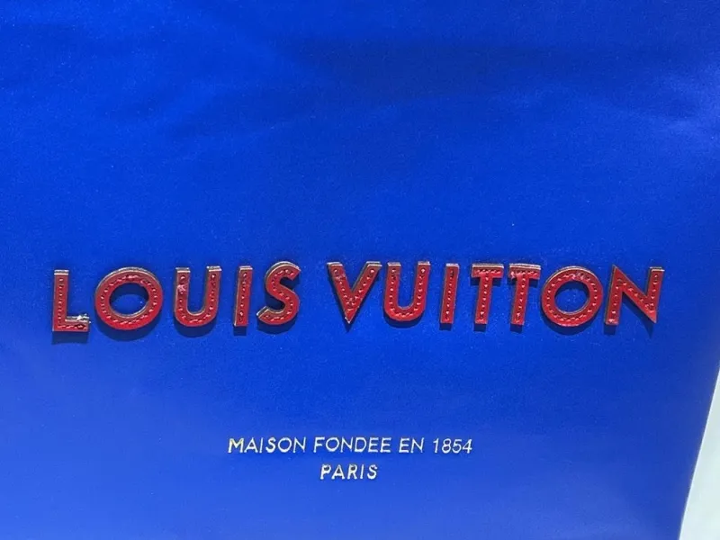 LV Shopping Bags-84 - Image 7