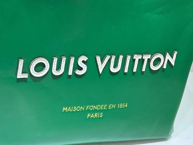 LV Shopping Bags-85 - Image 4