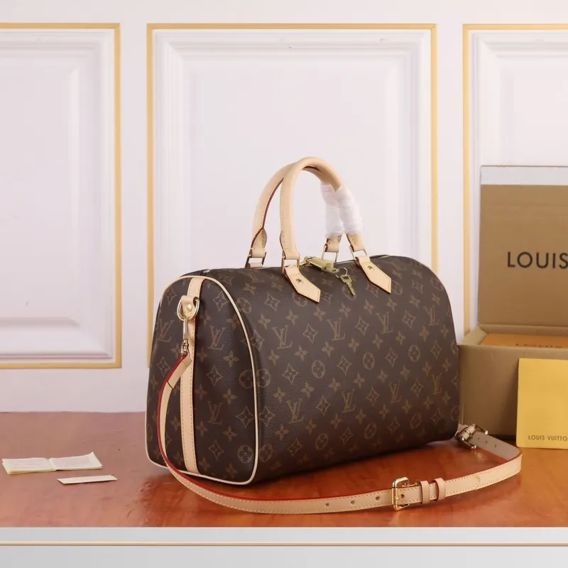 Alternative view of LV Speedy Bags-10
