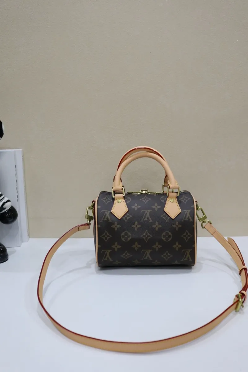 Alternative view of LV Speedy Bags-20