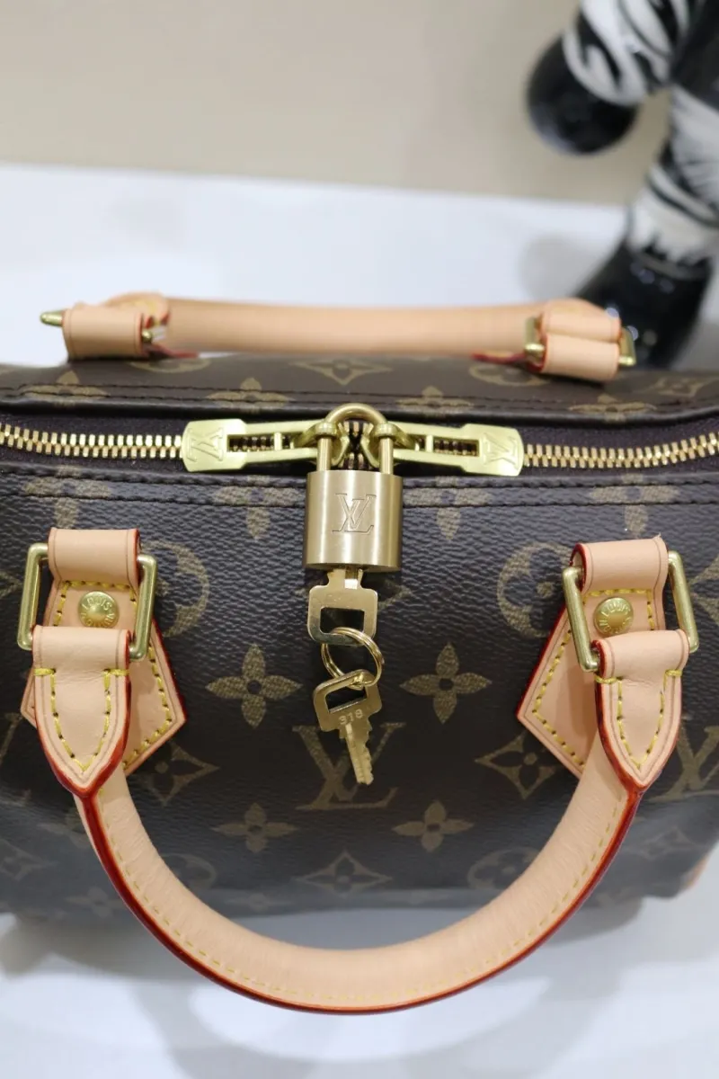 LV Speedy Bags-20 - Image 5