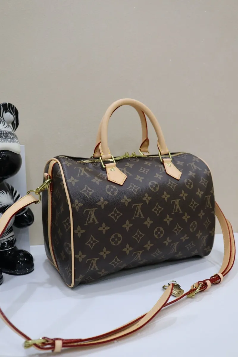 Alternative view of LV Speedy Bags-22