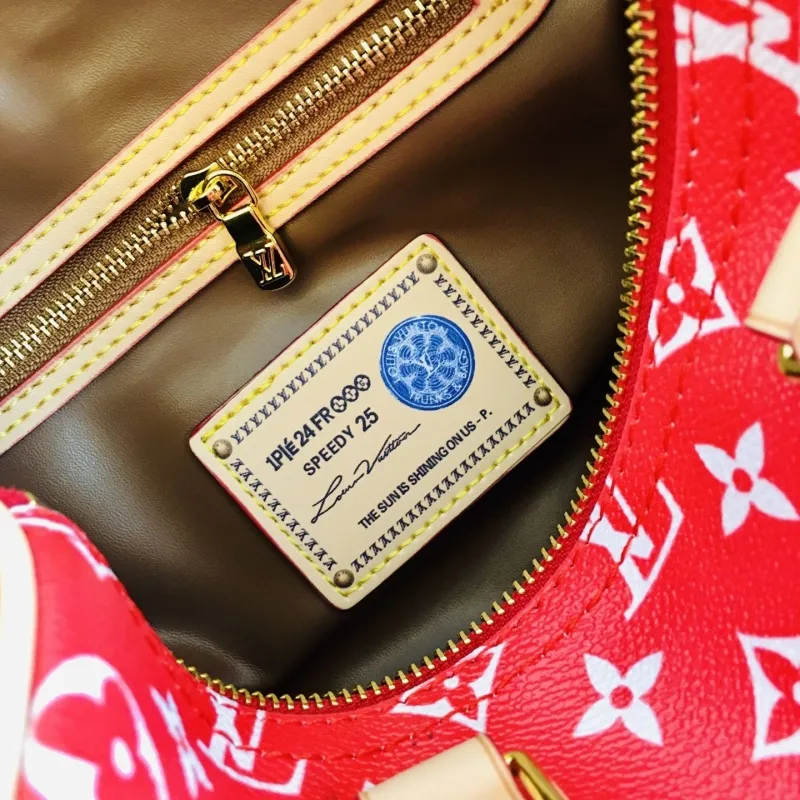 Alternative view of LV Speedy Bags-33