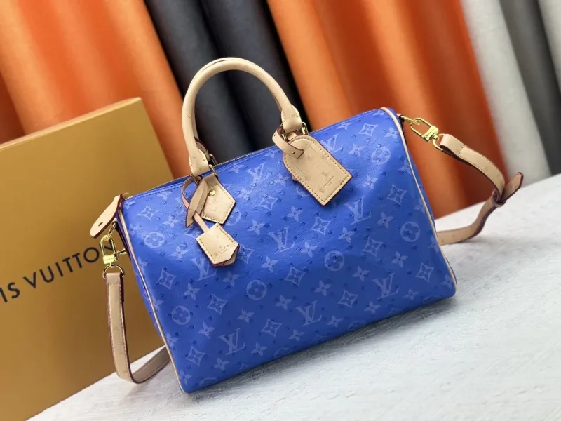 LV Speedy Bags-56