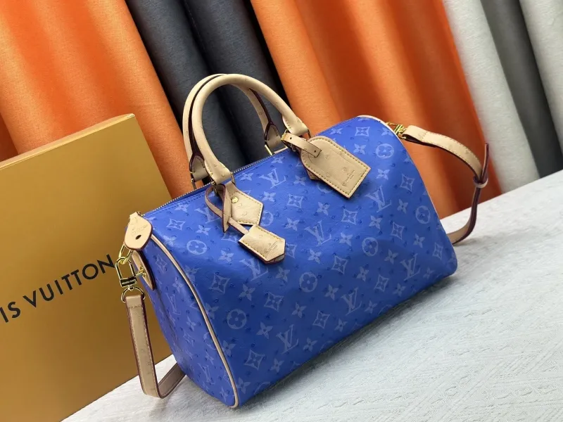 Alternative view of LV Speedy Bags-56