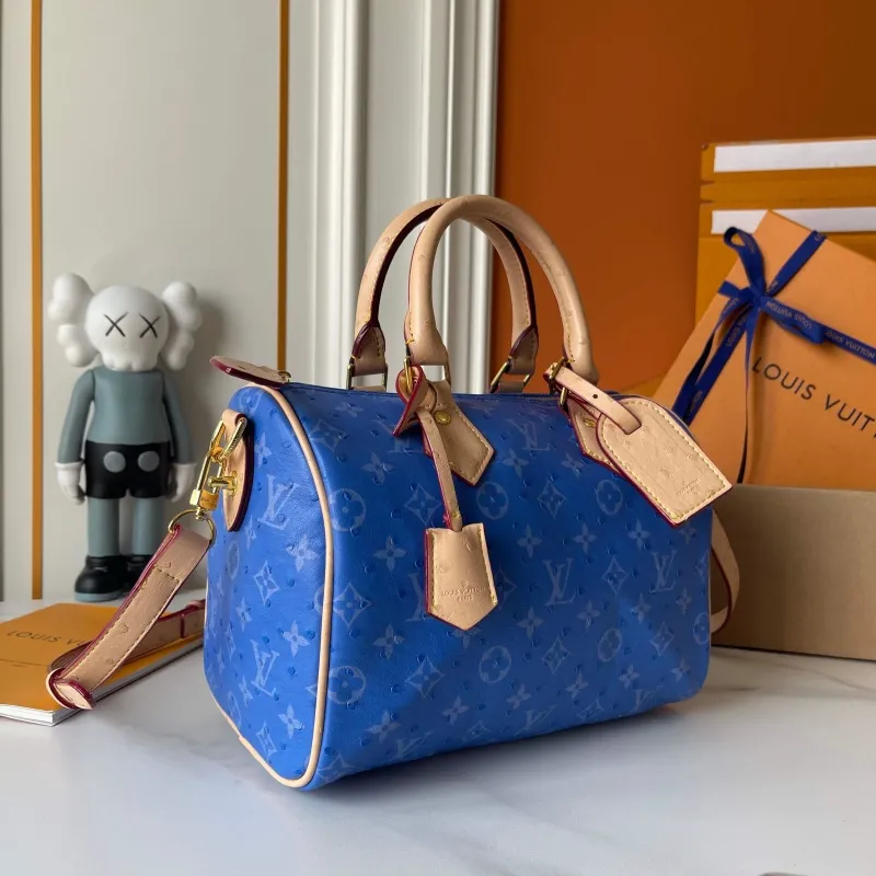 Alternative view of LV Speedy Bags-69