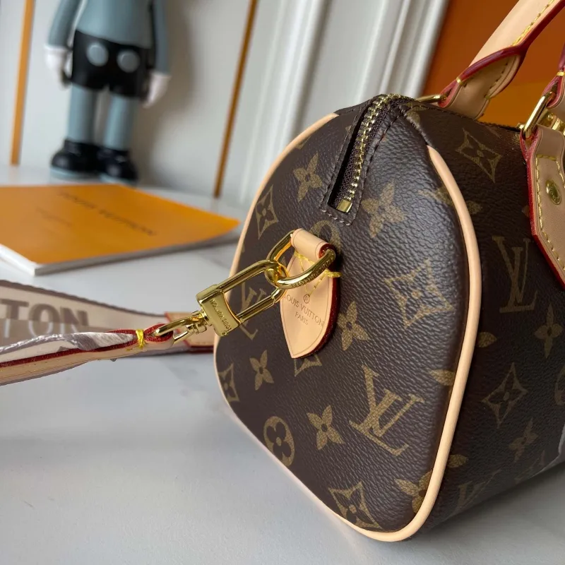 LV Speedy Bags-93 - Image 5