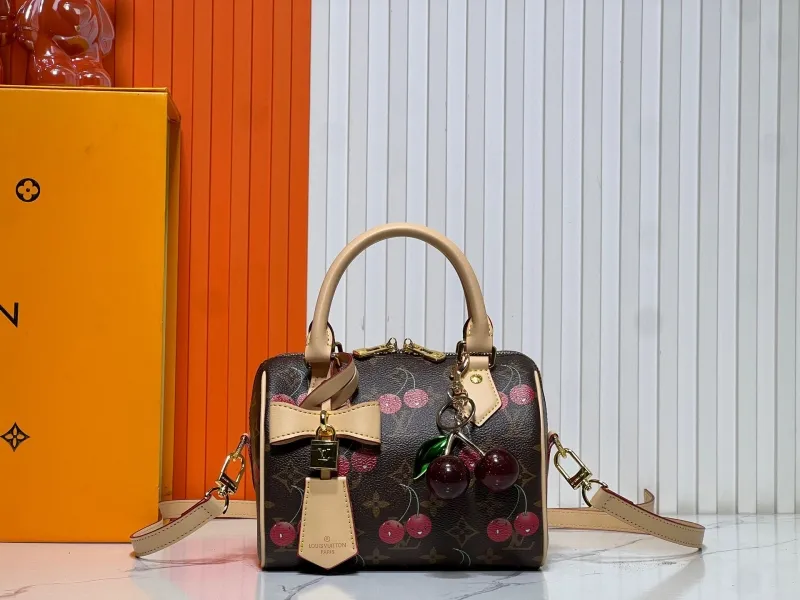 LV Speedy Bags-96