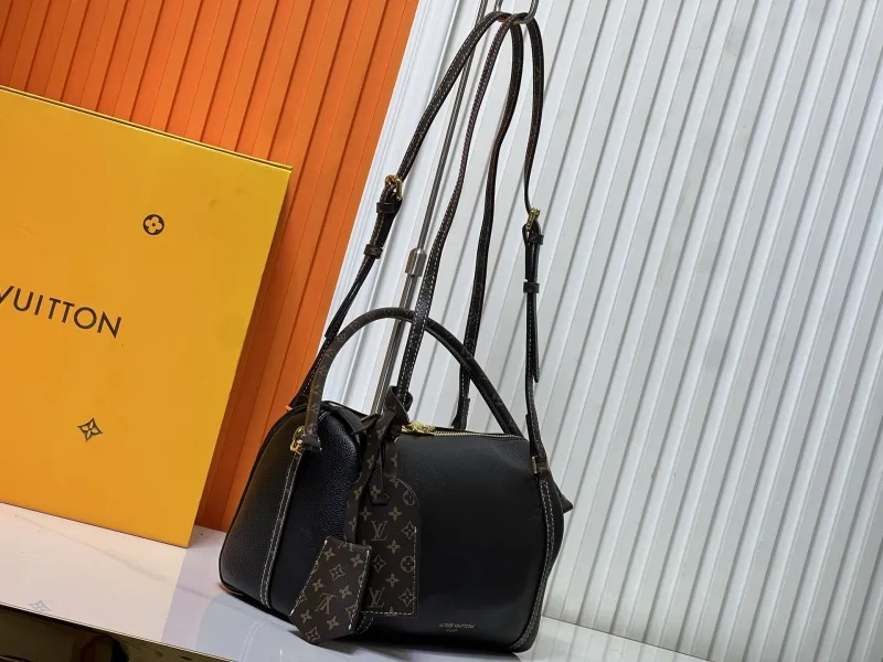 Alternative view of LV Speedy Bags-99
