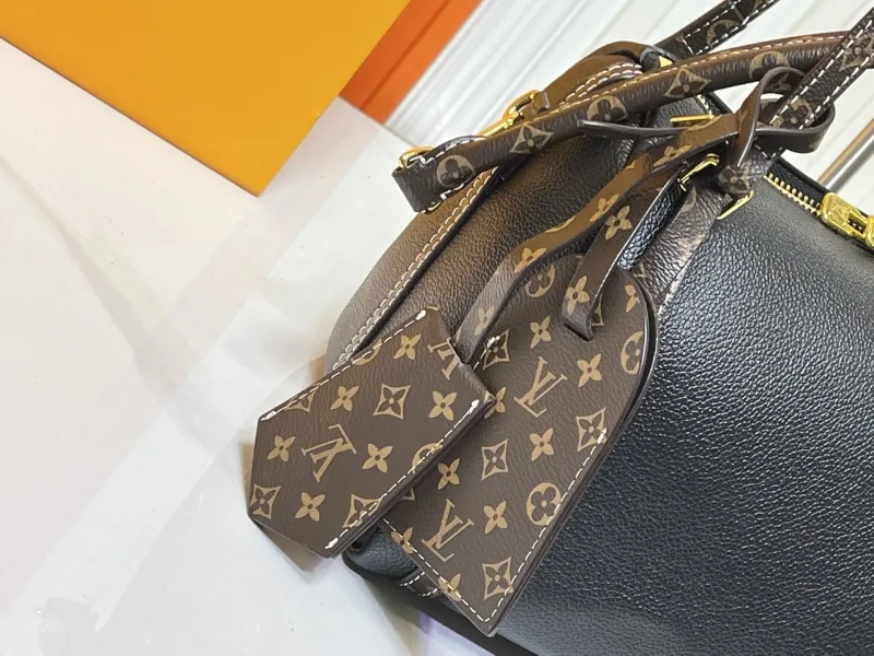 LV Speedy Bags-99 - Image 7