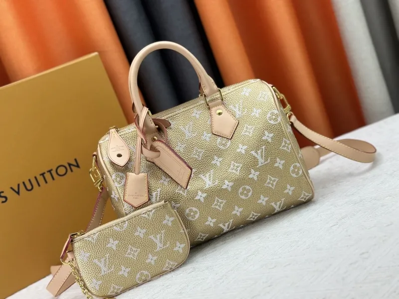LV Speedy Bags-101