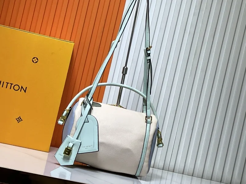 LV Speedy Bags-104