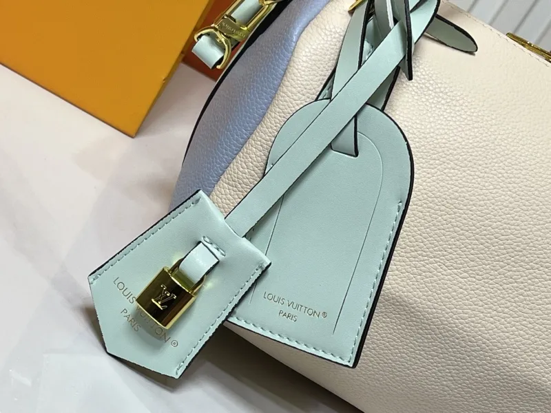 LV Speedy Bags-104 - Image 5