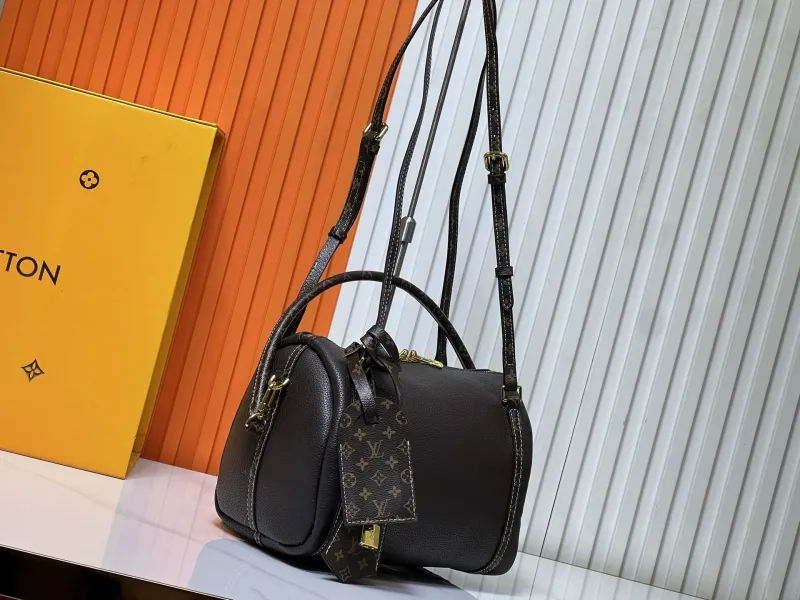 Alternative view of LV Speedy Bags-105