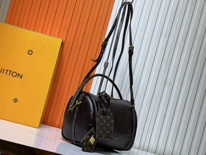 Alternative view of LV Speedy Bags-106