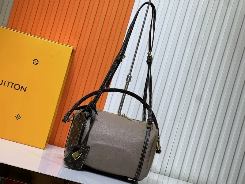 LV Speedy Bags-107