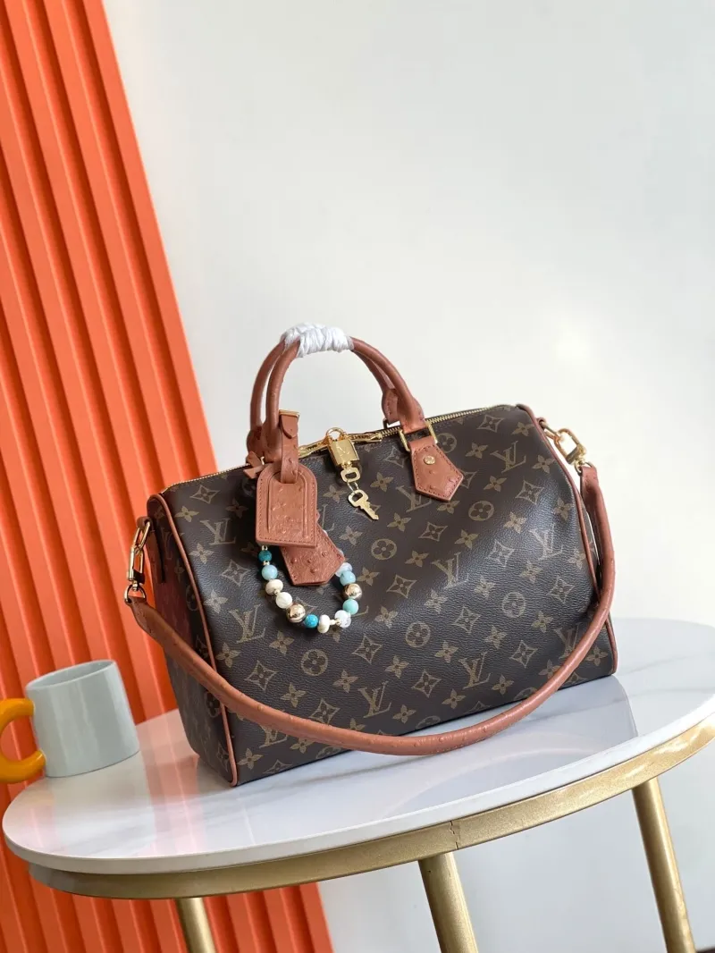 LV Speedy Bags-153