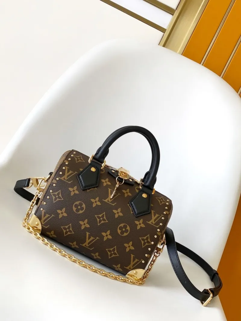 LV Speedy Bags-252