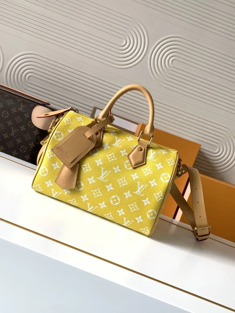 LV Speedy Bags-271