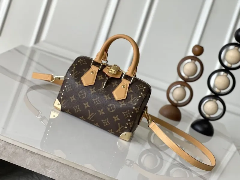 LV Speedy Bags-301
