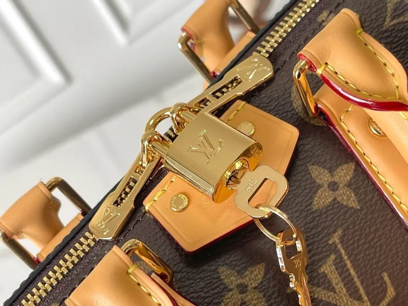 LV Speedy Bags-301 - Image 5