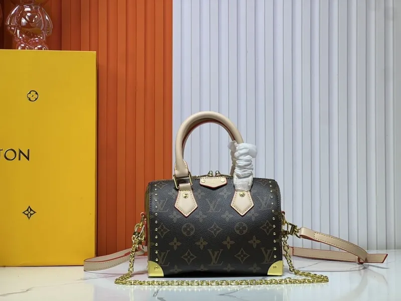 LV Speedy Bags-311