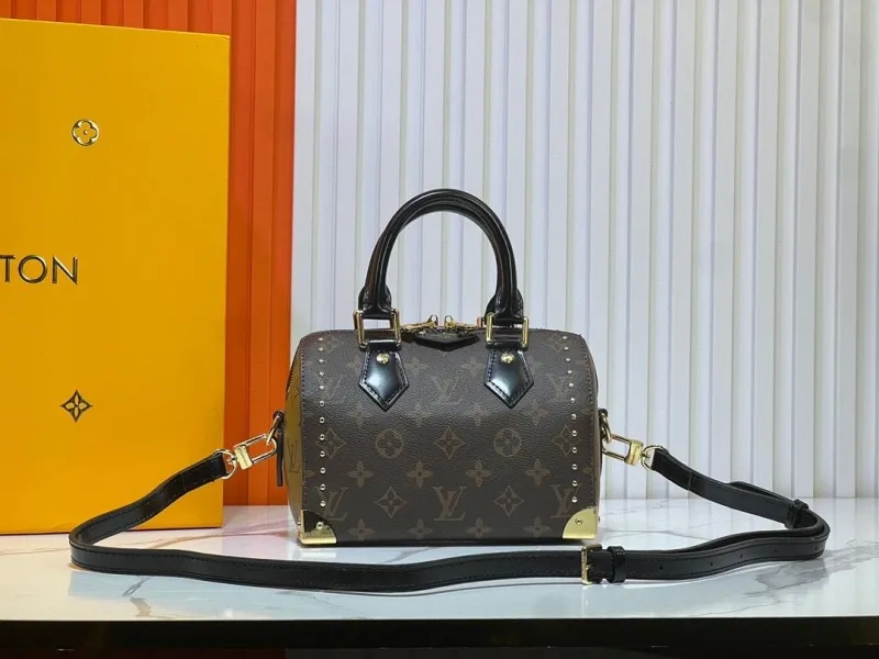 LV Speedy Bags-312