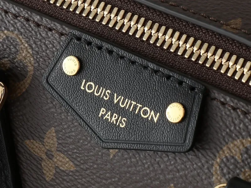 LV Speedy Bags-328 - Image 4