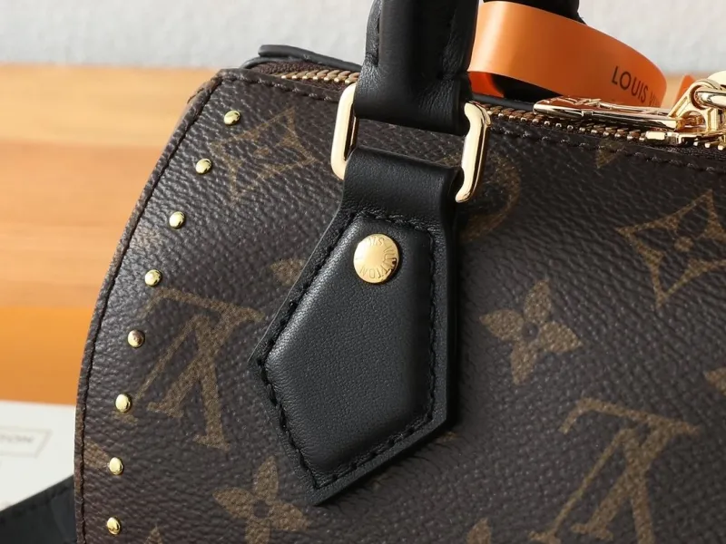LV Speedy Bags-328 - Image 5