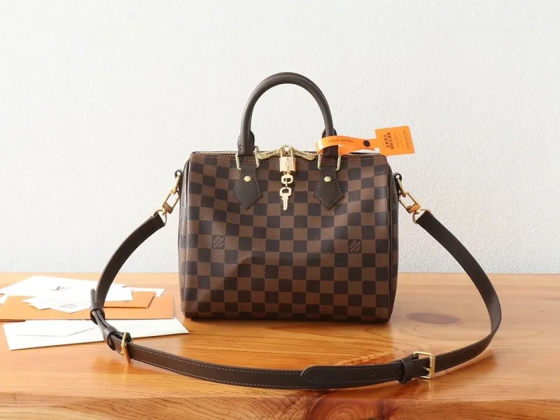 LV Speedy Bags-329