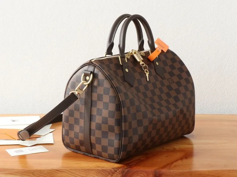 Alternative view of LV Speedy Bags-330