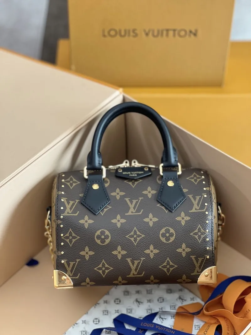 LV Speedy Bags-375
