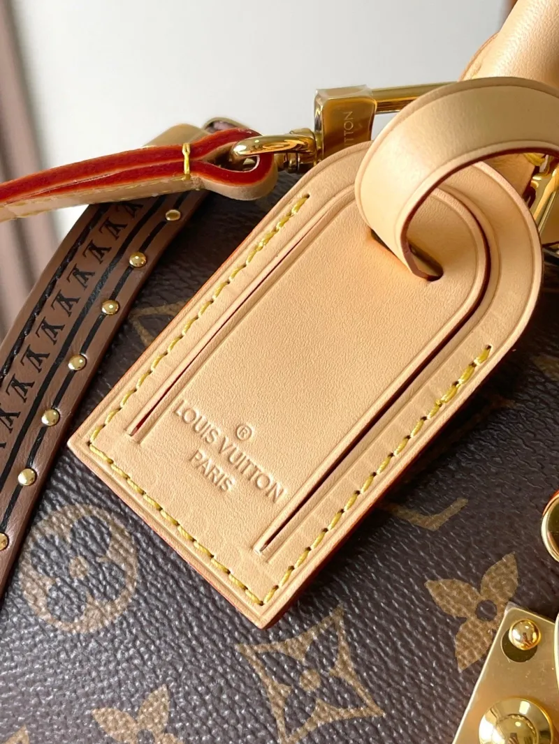 LV Speedy Bags-378 - Image 5