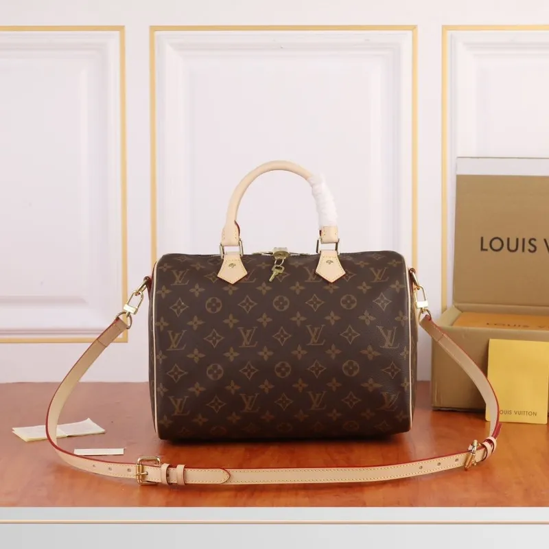 LV Speedy Bags-383