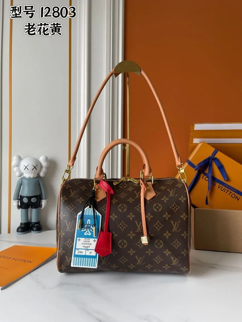LV Speedy Bags-389